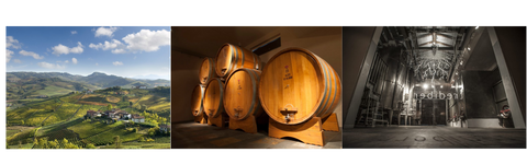 Barolo Masters #9