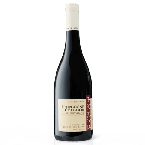 Bourgogne Cote d'Or Les Meix Grappin 2022 | Jean-Charles Fagot