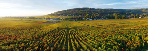Domaine de Bellene
